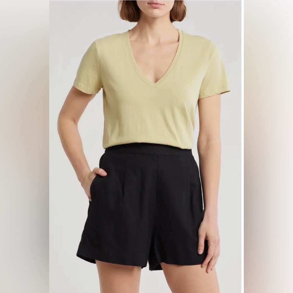 Madewell Softfade Cotton V-Neck Tee